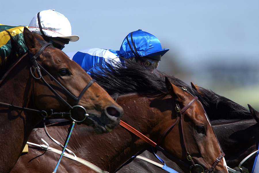 Horse racing