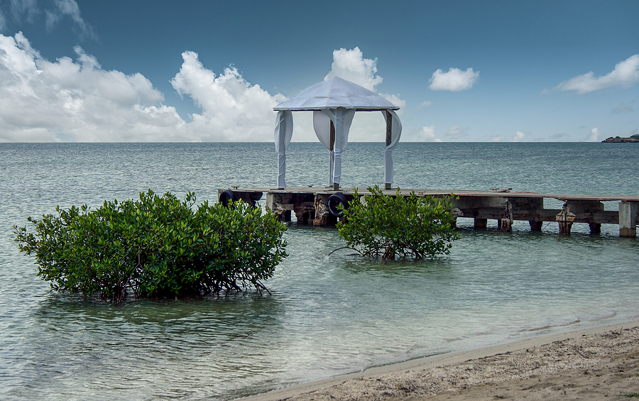 5 Mistakes To Avoid When Choosing Your Hobart Wedding Venue White sandy beach with plants emerging from the water with a breakwater and a white wedding tent in Puerto Rico
