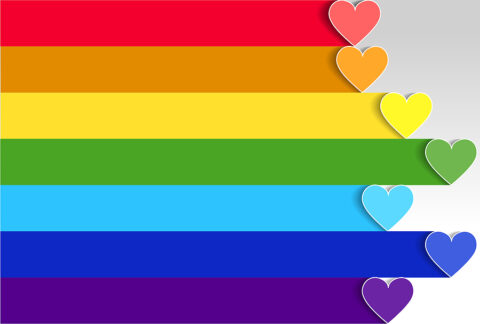 Online Privacy in the LGBTQ+ Community