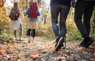 How to Have the Best Camping Trip