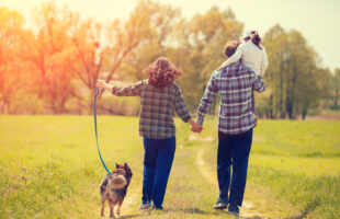 How to Easily Find a Great Dog for Your Family