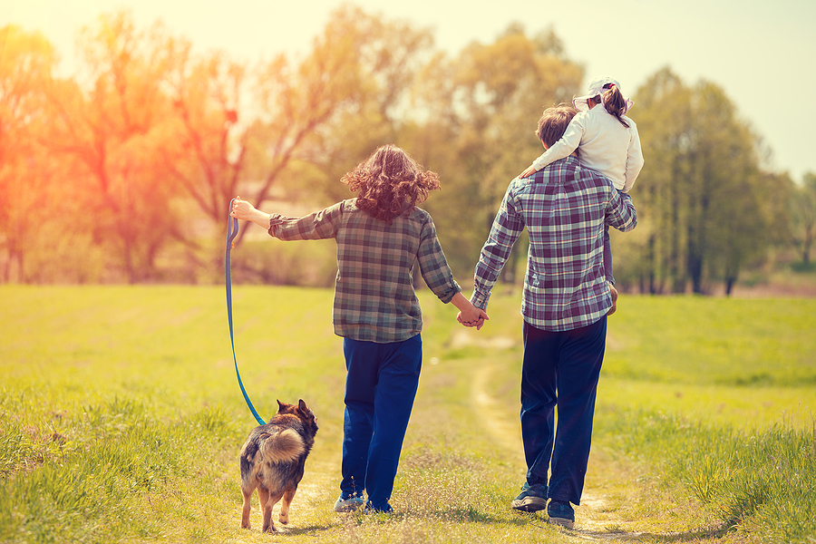 How to Easily Find a Great Dog for Your Family