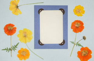 Interested In Scrapbooking? Follow These 7 Simple Steps