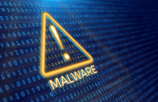 Factors to Consider When You Download Torrents