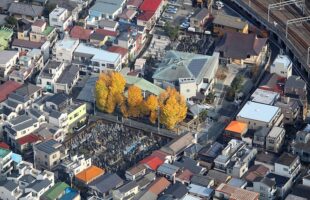 Top Reasons Why People Choose to Live in Japan