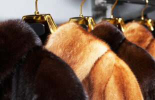 On what criteria do we select winter coats?
