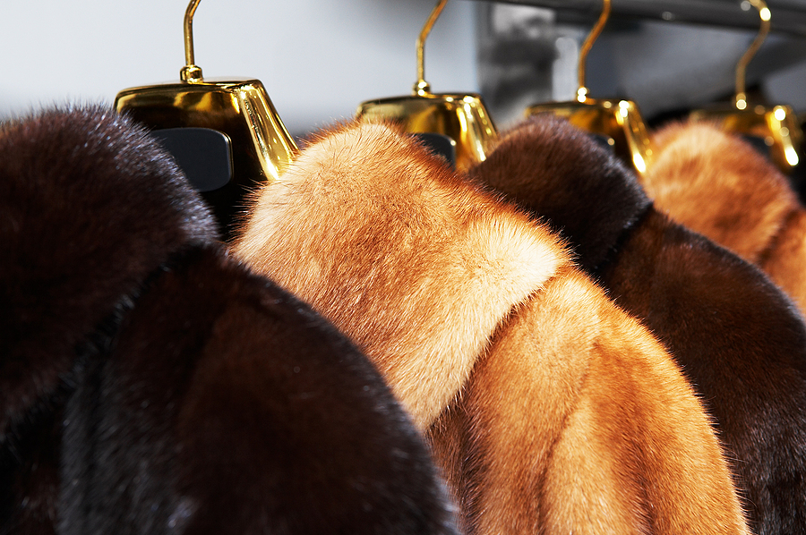 On what criteria do we select winter coats?