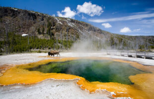 Planning a vacation with your friends or family? Here’s your new bucket list