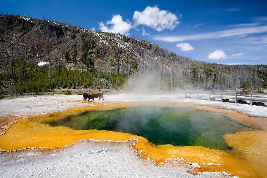 Planning a vacation with your friends or family? Here’s your new bucket list