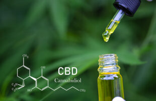 CBD as a Natural Remedy: Everything You Need to Know