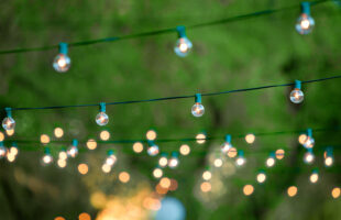 Bring Party to Your Lawn with Stunning Yard Signs      