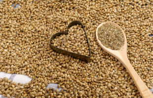 All You Need To Know About The Hemp Edibles: 6 Useful Tips