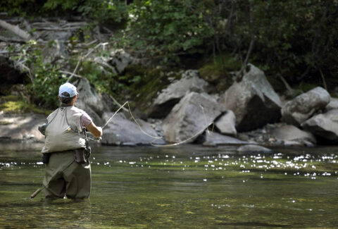 The Great, New Fly Fishing Book by Trinity