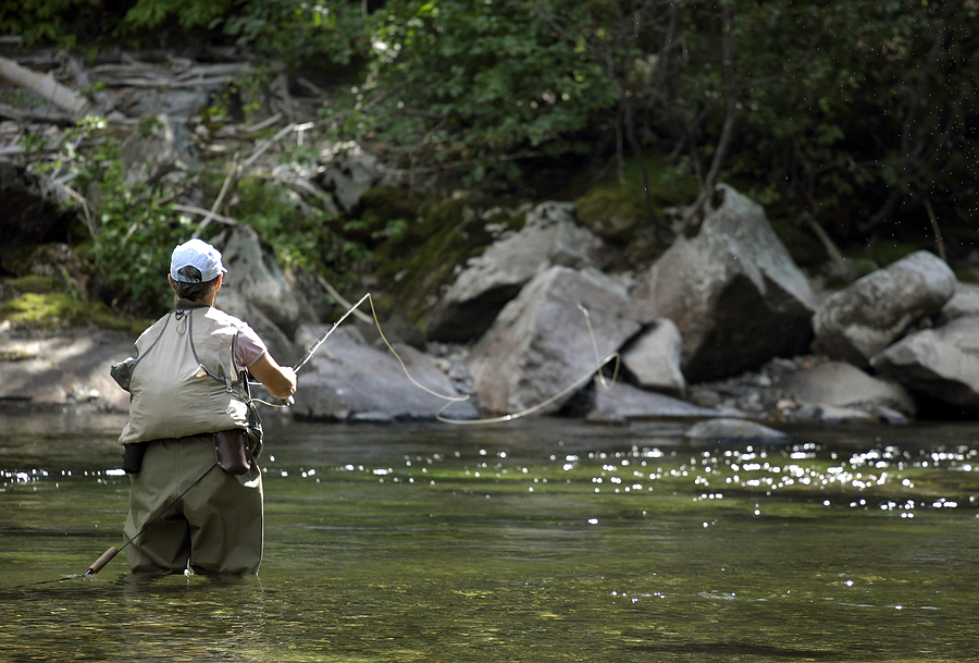 The Great, New Fly Fishing Book by Trinity