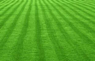 Important Steps To Take If You Want To Have A Beautiful Lawn