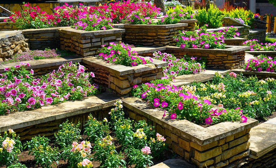 Amazingly Aromatic Flowers That Can Enhance Your Garden Scent