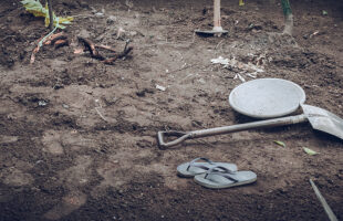 Best Garden Renovations to Increase Your Property Value