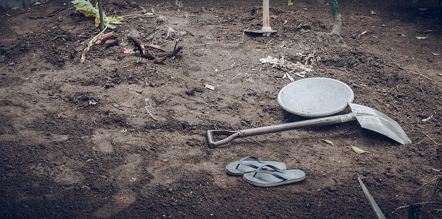 Best Garden Renovations to Increase Your Property Value