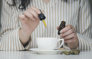 A Comprehensive Guide to CBD Oils