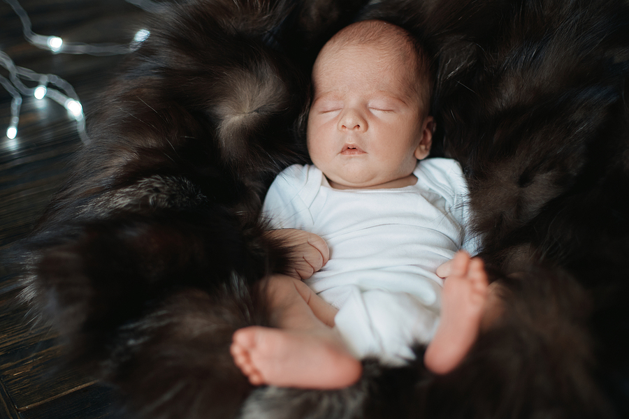 Newborn Is Sleeping Peacefully On A Fur Blanket.