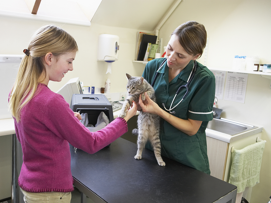 10 Ways Pet Insurance Can Make Life Easier