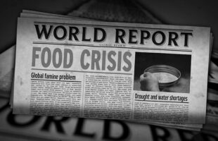 Is 3D the Solution To Global Food Crises
