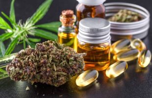Top 5 Best CBD Hemp Flower Strains