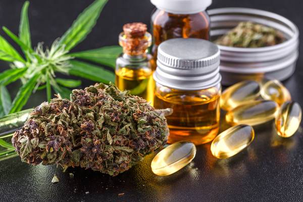 Top 5 Best CBD Hemp Flower Strains