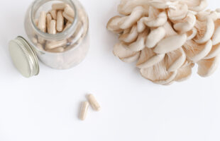 A Walkthrough Medicinal Mushrooms, Types, And Benefits