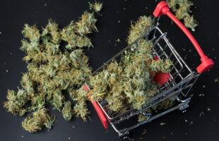 Why Are People Leaning Towards Online Dispensaries In Canada?