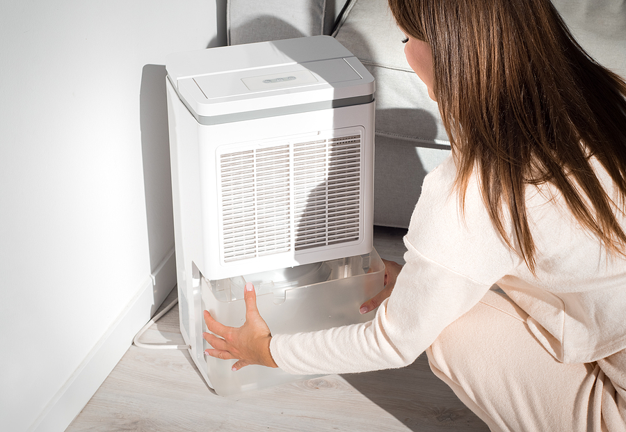 The Essential Guide to American Made Dehumidifiers and Finding the Best Deals