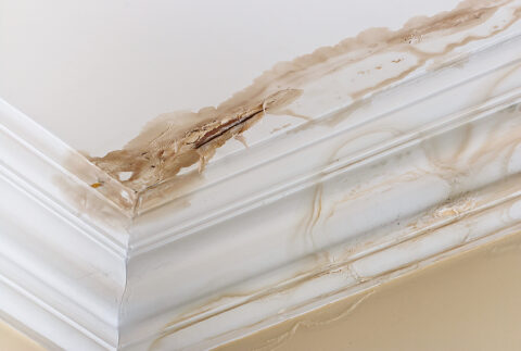 Unexpected Water Damage Indicators Homeowners Should Watch
