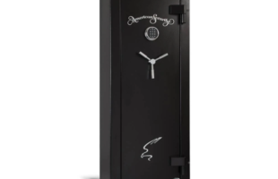 Everything Know Before Buying an AMSEC Gun Safe