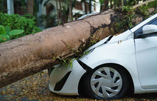 3 Ways to Protect Your Car from Weather Damage