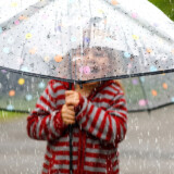 Color Wheel Stick Umbrella
