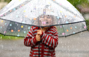 Color Wheel Stick Umbrella
