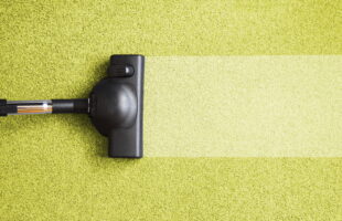 The Dog Dung Vacuum