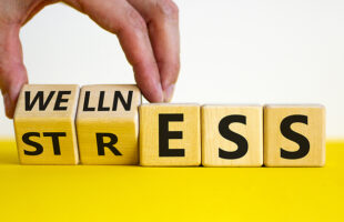 Wellness and Productivity – What’s the Link?