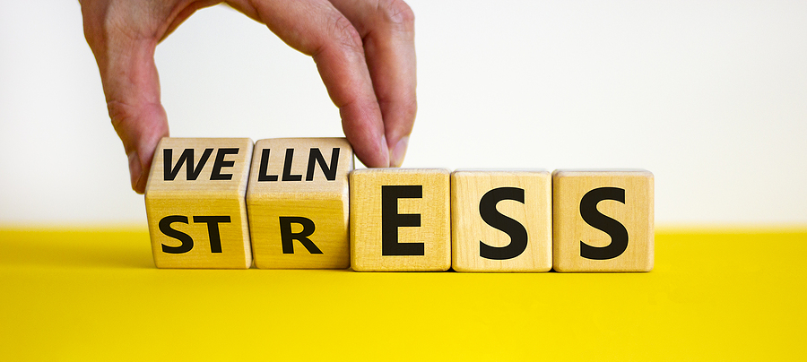 Wellness and Productivity – What’s the Link?
