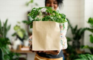 5 Sustainable Packaging That are Better for the Environment
