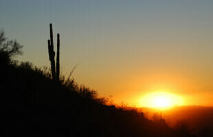 Breaking Down Arizona Cities By Climate 