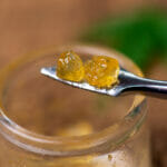Macro detail of cannabis concentrate live resin extracted from m