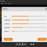 2 Ways to Watch a DVD on Windows (11/10 Included) adjust-effect