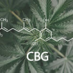 What is CBG, and How is it Different from CBD? Cbg Formula Image Cannabis Cannabis Oil Herbal Treatment, Altern