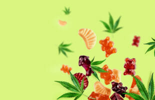 How to Choose the Right Cannabis Gummies for Your Needs