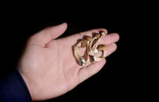 Magic mushrooms as medicine