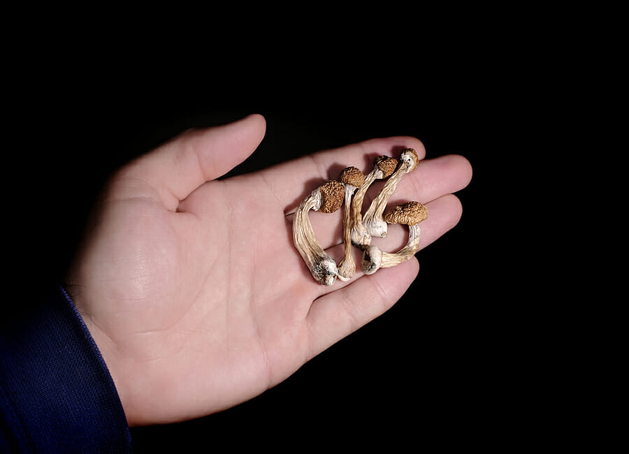 How Tripping on Psychedelics Works