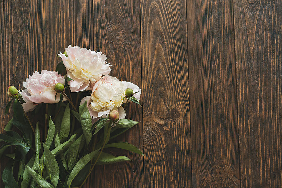 All Wood Aesthetics: How to Balance Tones and Textures