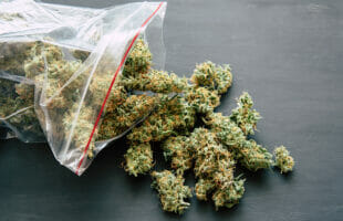 Local Wellness Dispensary: Safe, Reliable, and Convenient