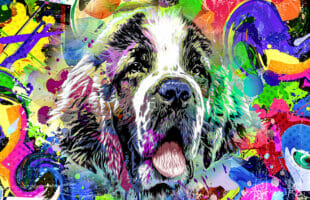 How to Paint Your Pet in 5 Easy Steps